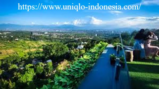 Desa Wisata Premium Cibeureum: Destinasi Healing